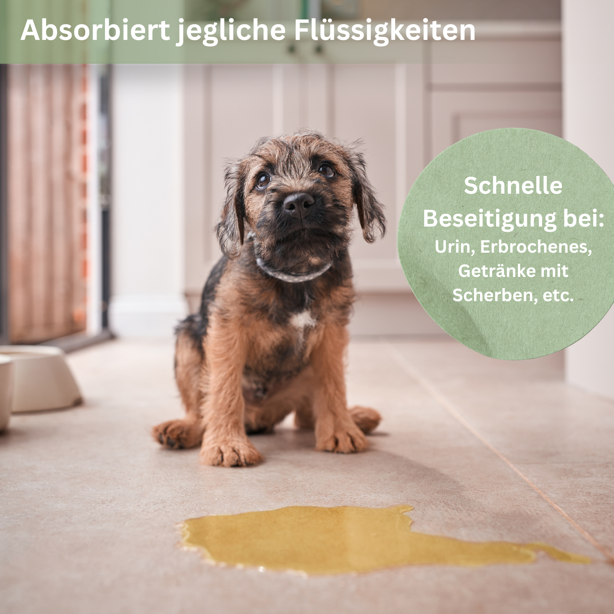 Loovolution - Superabsorber Granulat zum aufsaugen jeglicher Flüssigkeiten