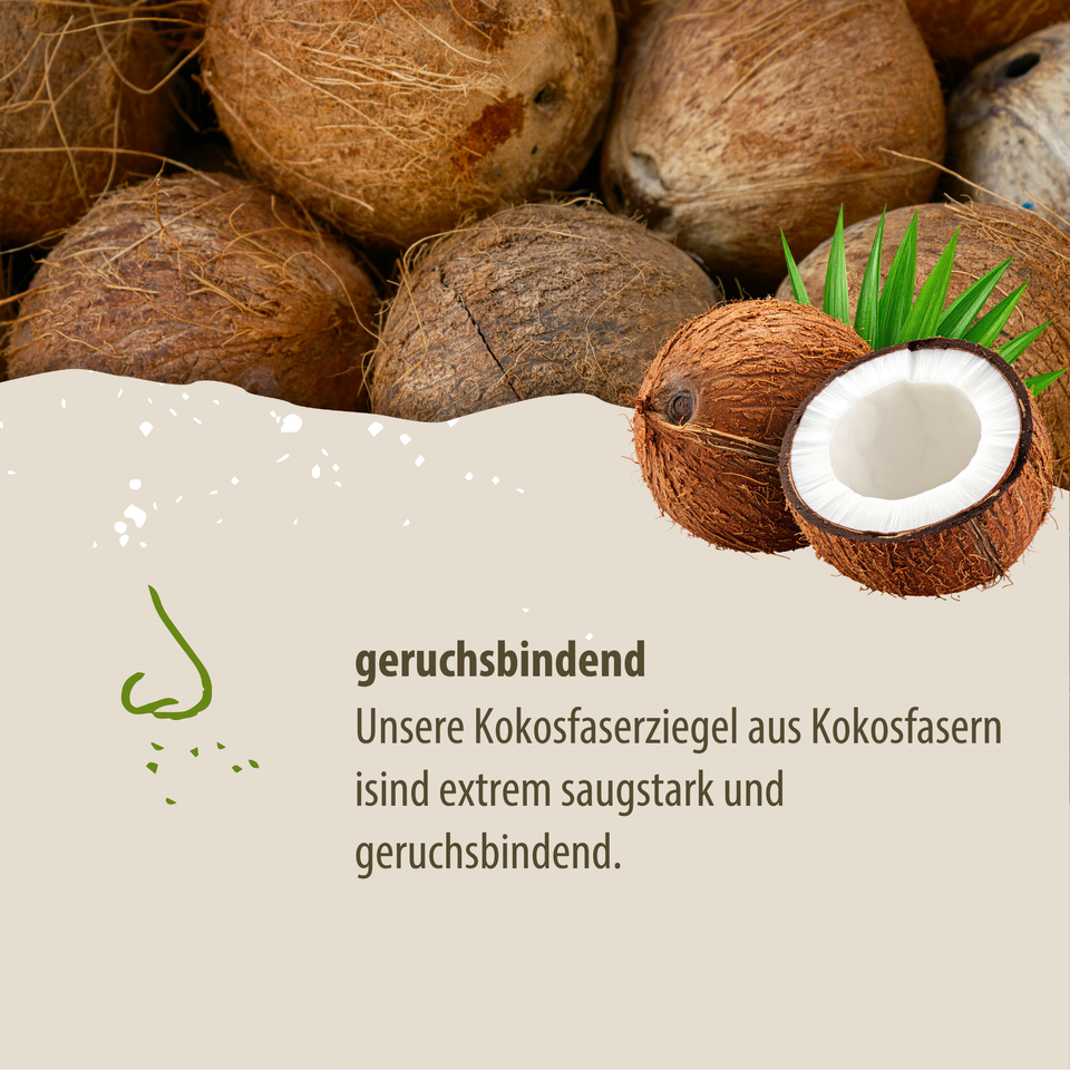 Loovolution - Kokosziegel 600g stark saugendes Einstreu für Trenntoiletten, platzsparend, natürlich & ergiebig